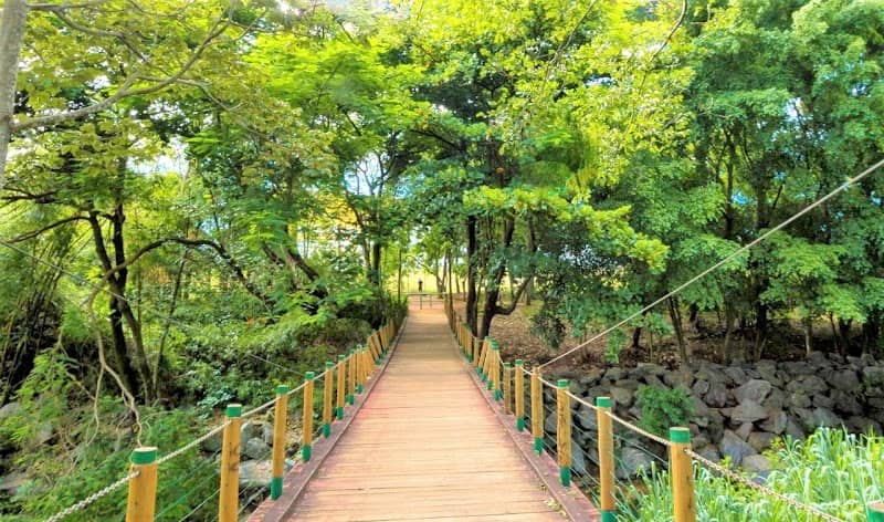 Parque Bernardo Élis - Image 1