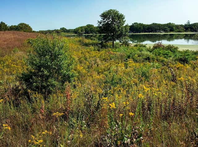 Rock River Prairie State Natural Area - Image 1