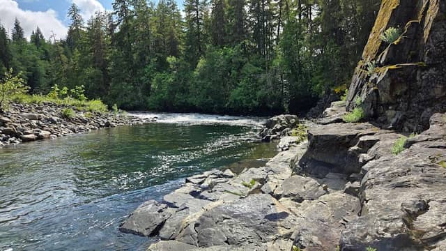 Nanaimo River Canyon Community Park - Image 2