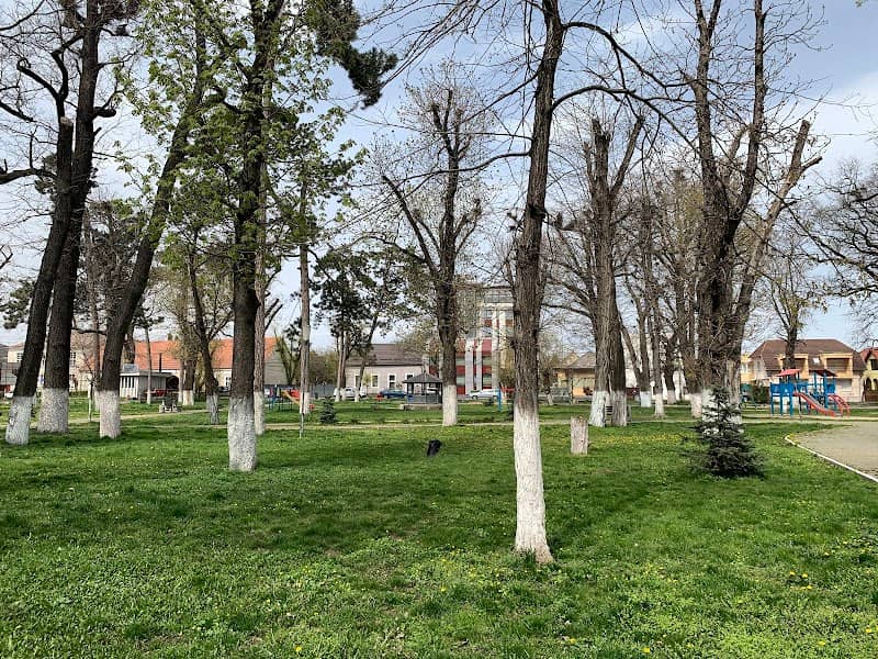 Parcul Turda Nouă - Image 1