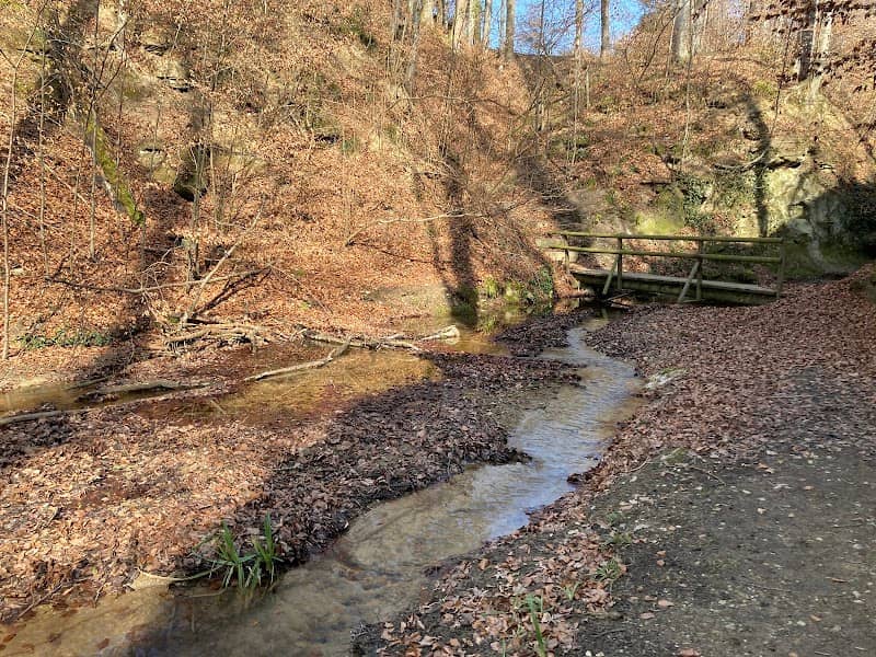 Glögglifroschweg - Rundweg Eichel - Image 2