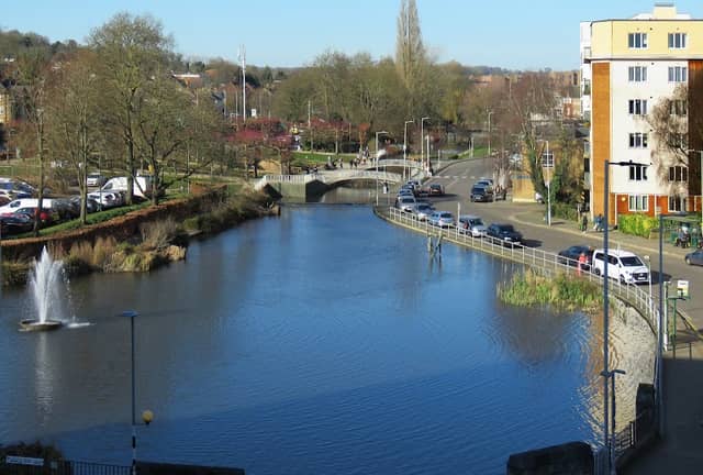 Water Garden - Image 1