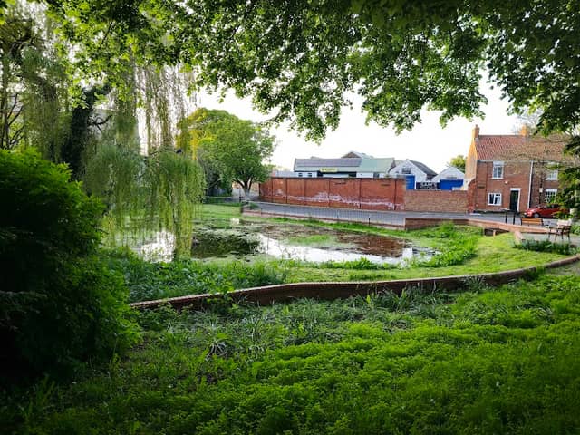 The Beck - Image 1