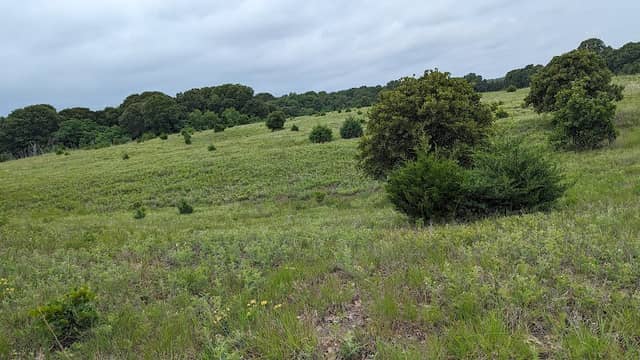 Sand Prairie-Scrub Oak Nature Preserve - Image 1