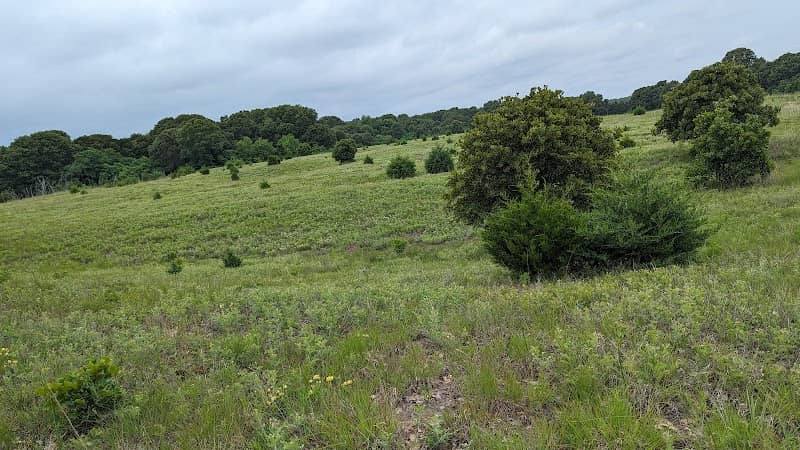 Sand Prairie-Scrub Oak Nature Preserve - Image 1