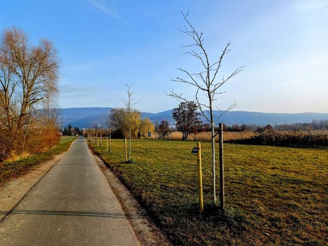 Deutsche Einheitsallee - Image 1
