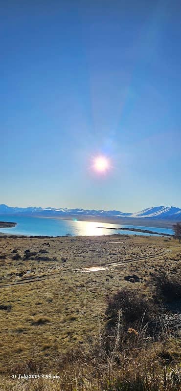 Lake Tekapo Peninsula Walkway - Image 3