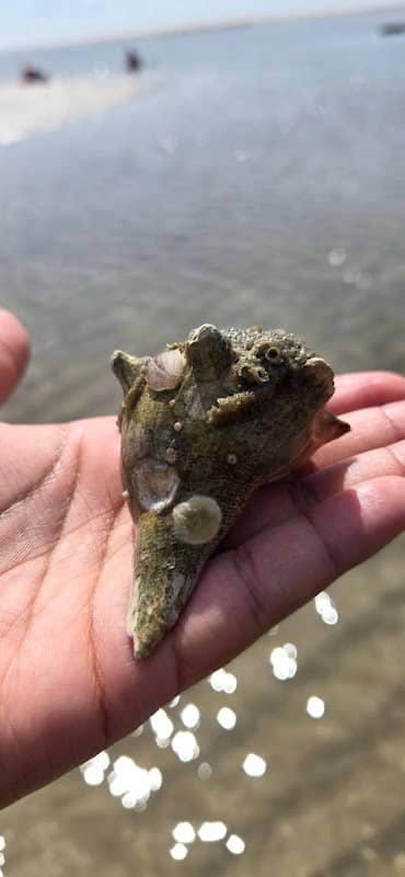 Fish Haul Beach - Image 1