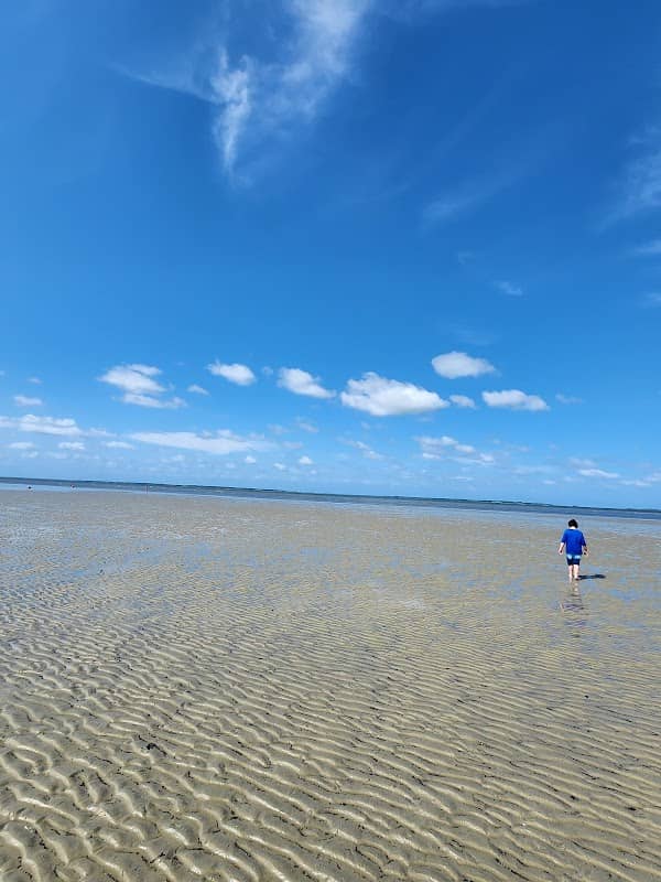 Fish Haul Beach - Image 2