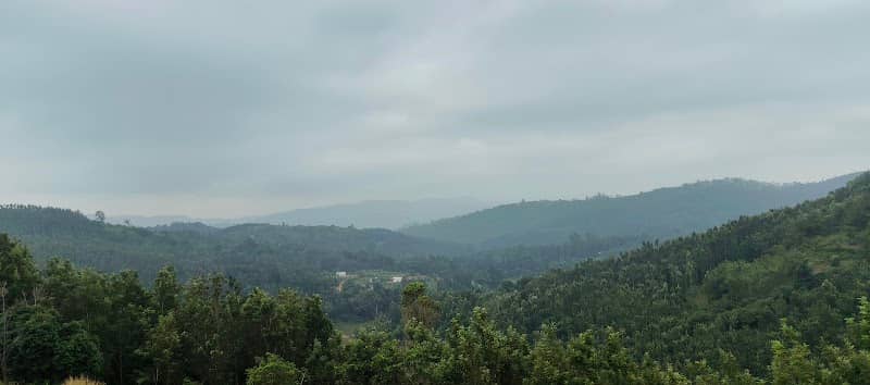 Private Waterfalls @ Kollimalai - Image 3