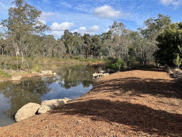 Yangoora Wells Wetland - Image 1