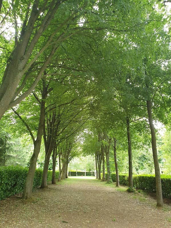 National Trust - Whipsnade Tree Cathedral - Image 1