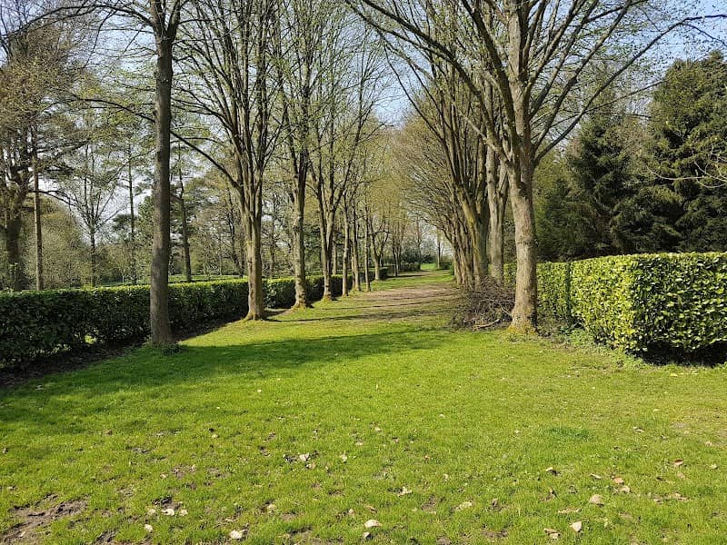 National Trust - Whipsnade Tree Cathedral - Image 3