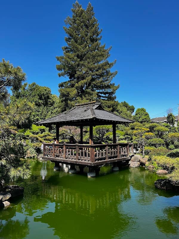 Japanese Gardens - Image 3