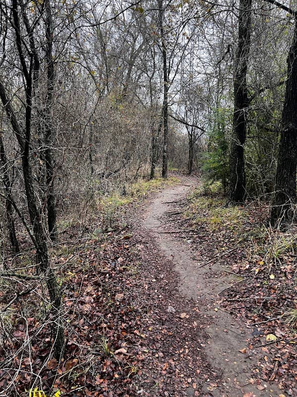 Chisenhall MTB Bike Trailhead 1 - Image 2