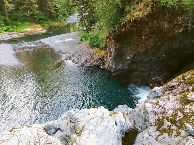 Wynoochee Falls - Image 2