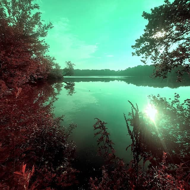 Grant Lake Wildlife Area - Image 2