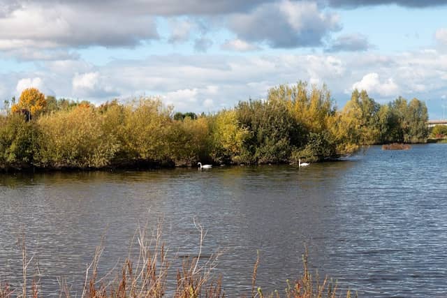 Tameside Local Nature Reserve - Image 1
