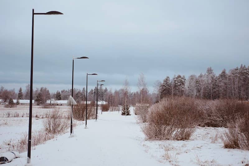 Aallottaren puisto - Image 1