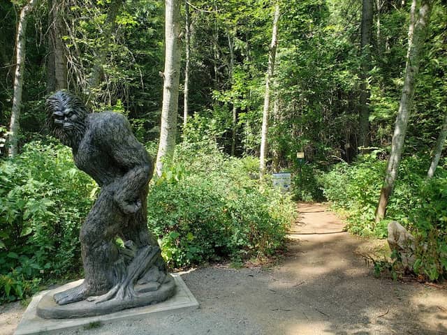 Rathdrum Mountain Park - Image 1