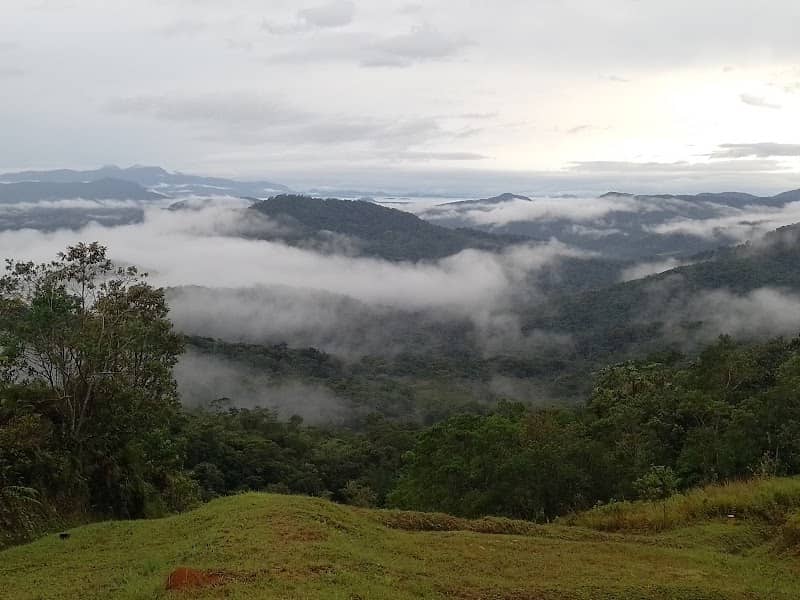 Mirante Morro grande - Image 1