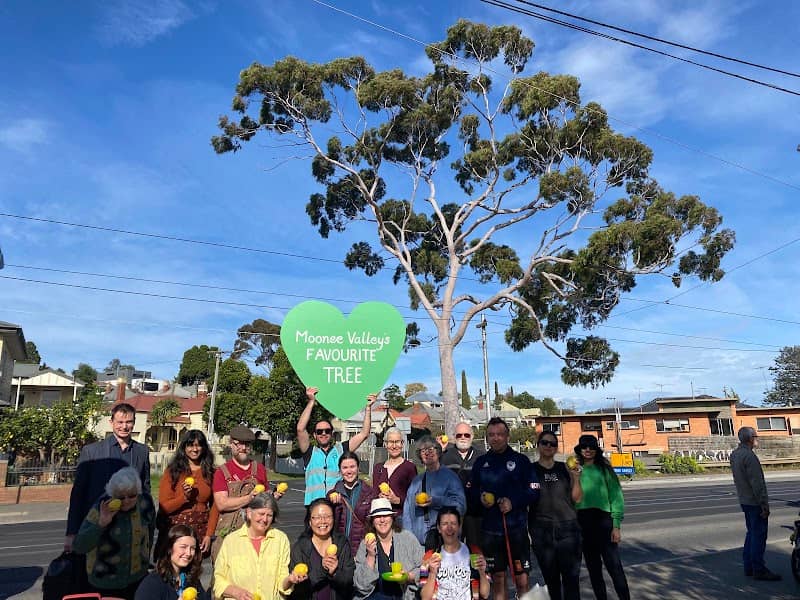 Moonee Valley's Favourite Tree - Image 1
