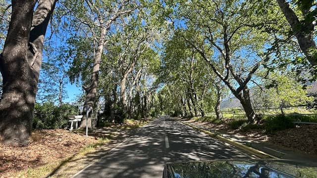 Alameda de Rabuco - Image 1