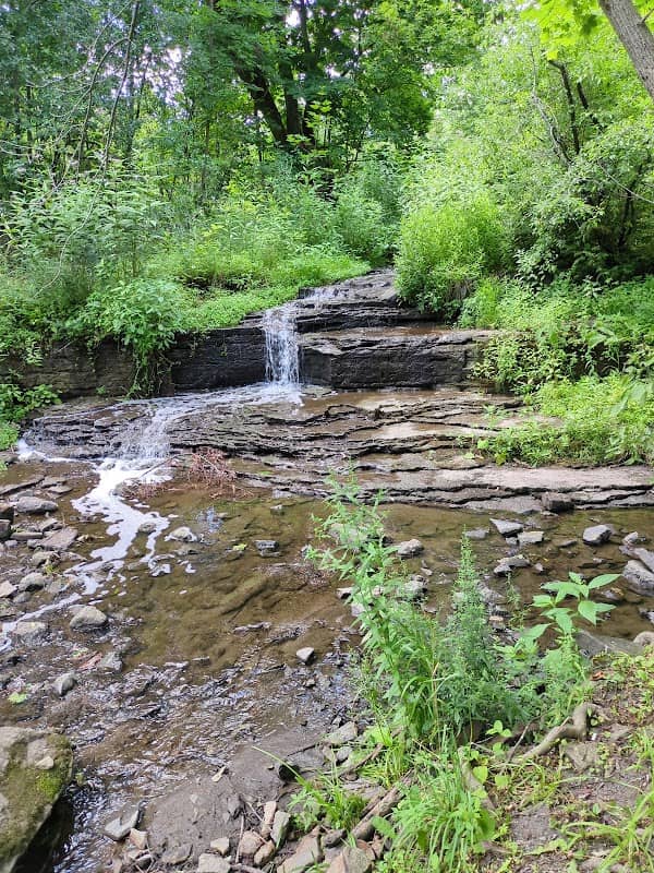 Ferguson Park - Image 1