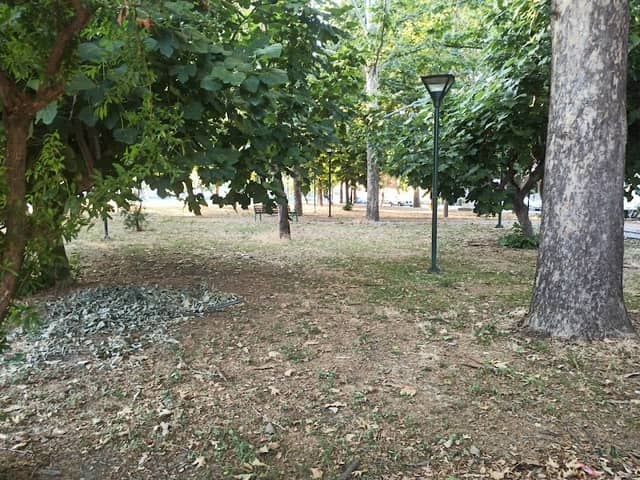 Park - Image 1