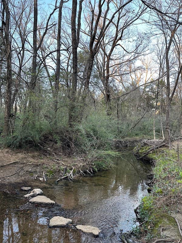 Dr. Pillow Park - Image 1