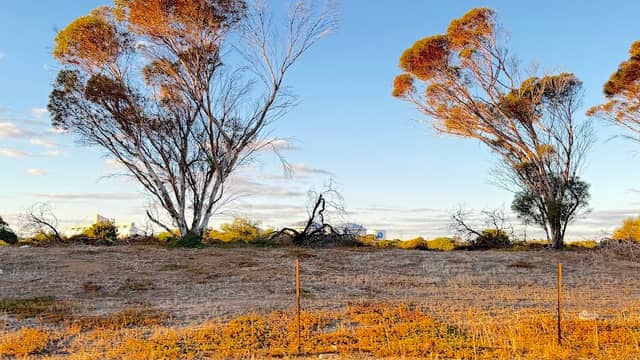 E.A. Carlson Reserve - Image 1