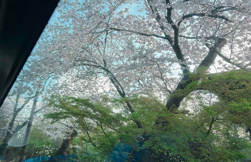 Kamakurayama Sakuramichi - Image 2