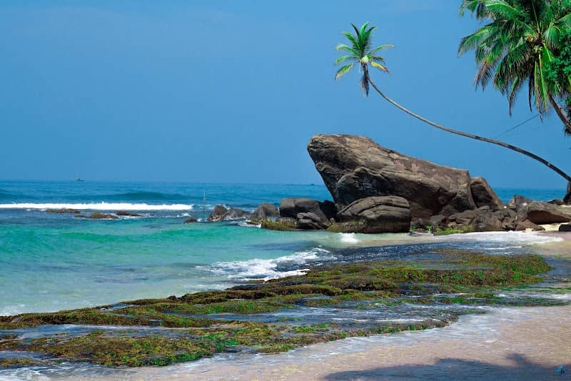 The Frog Rock - Image 1