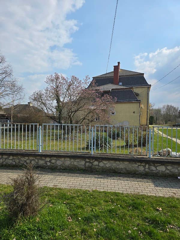 Petőháza legszebb liliomfája - Image 1