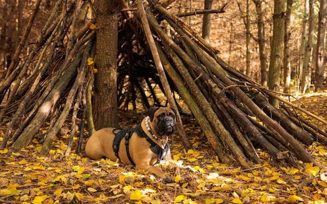 Jacob's Woods Park - Image 1