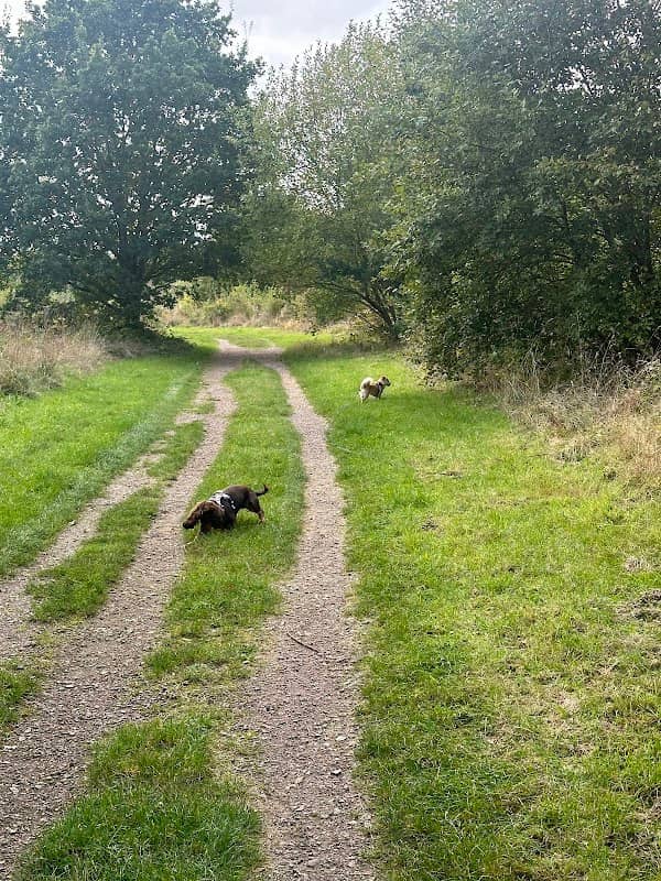 Garden Village Open Space - Image 1