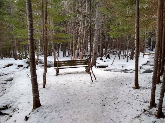 Maple Trail - Image 2