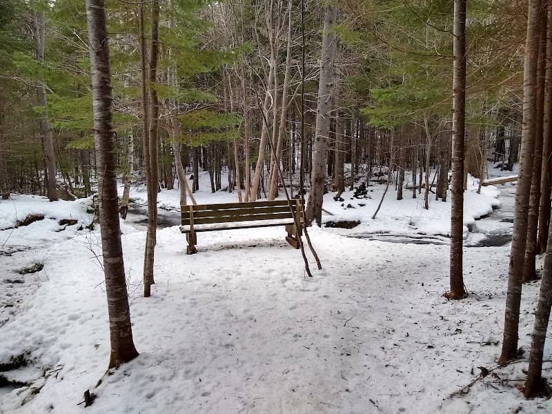 Maple Trail - Image 2