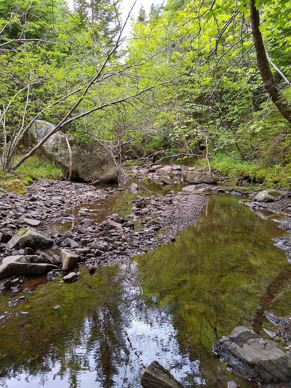 Maple Trail - Image 1