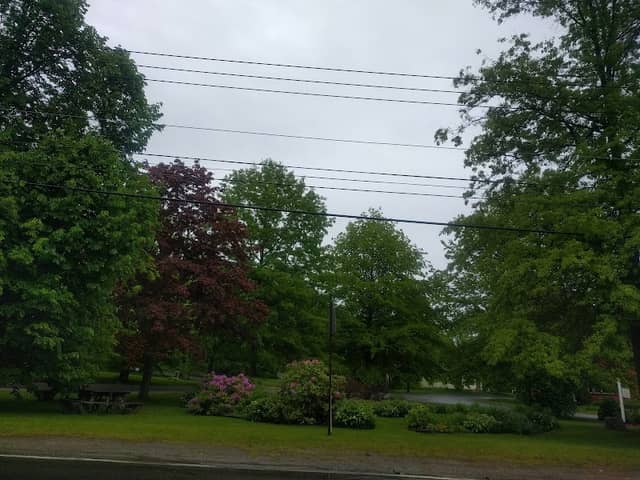Donald Little Park - Image 1