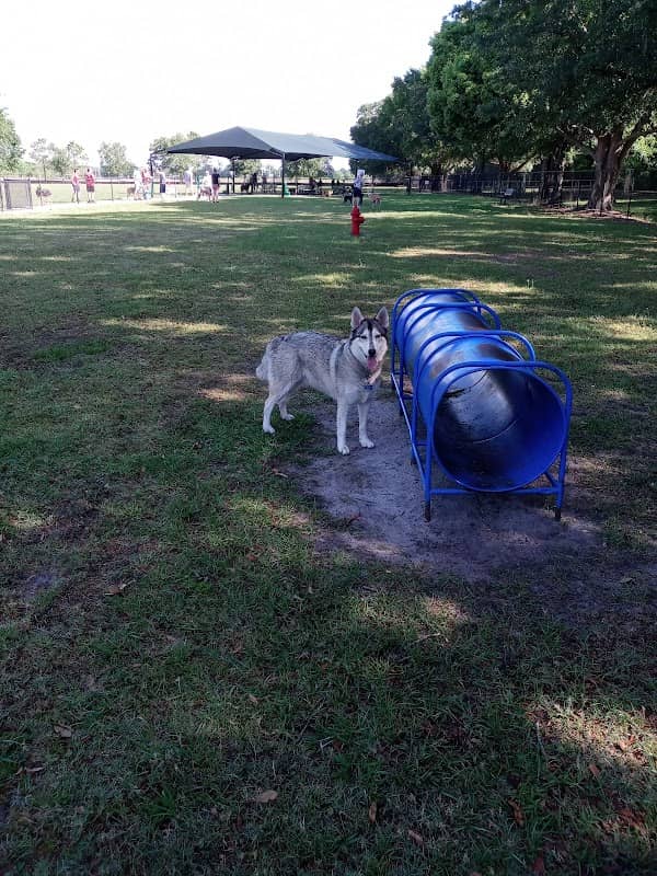 Auburndale Dog Park - Image 1