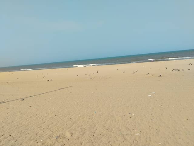 EKVR Beach - Image 1