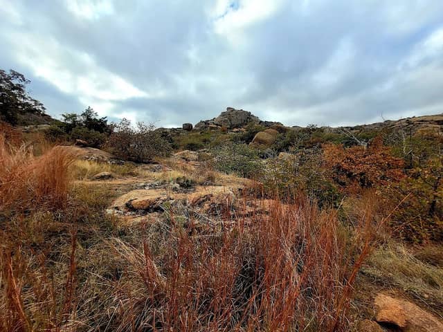 Mount Tad Trailhead - Image 3