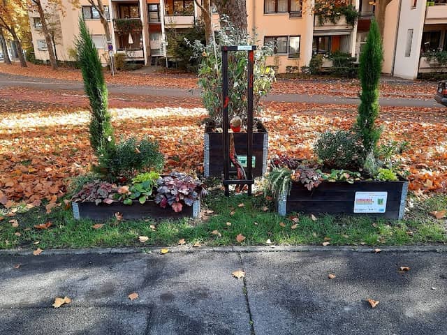 Beet sucht Freund - Blumenbeet der BUGA - Freunde Heilbronn - Image 1