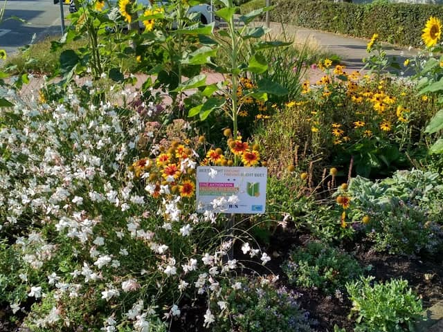 Beet sucht Freund - Blumenbeet der BUGA - Freunde Heilbronn - Image 2