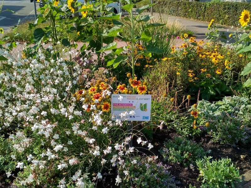 Beet sucht Freund - Blumenbeet der BUGA - Freunde Heilbronn - Image 2