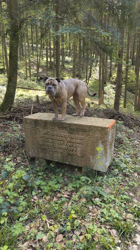 Gedenkstein für Forstrat Franz Klimetzek - Image 1