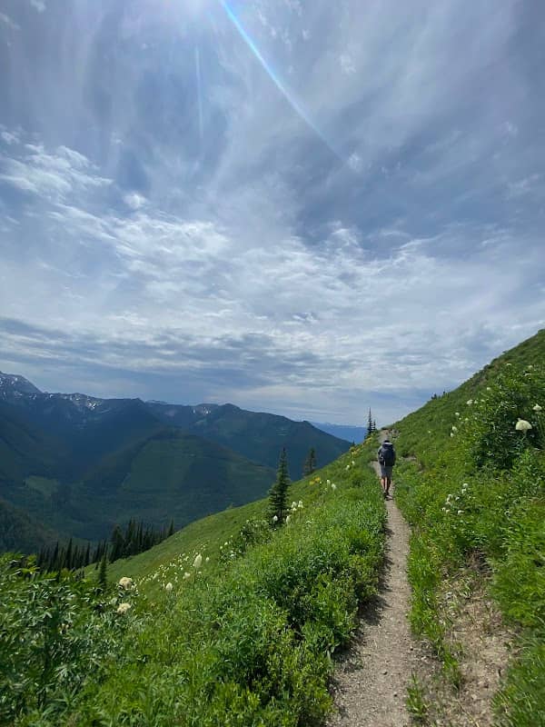 Inspiration Pass, Flathead National Forest - Image 1