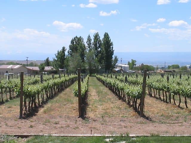 Stoney Mesa Winery - Image 2