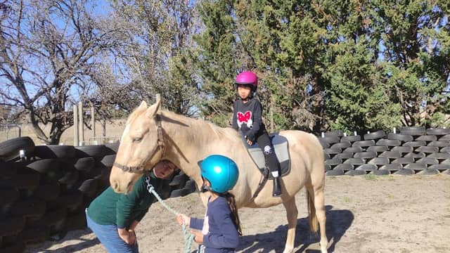 YASS PETS & RIDING SCHOOL - Image 1